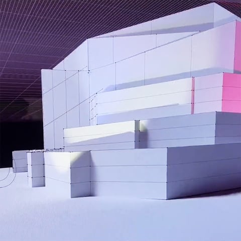 Coral Morphologic- 3D Model